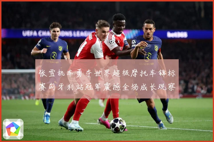 张雪机车勇夺世界超级摩托车锦标赛匈牙利站冠军震撼全场成长观察