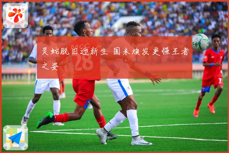 灵蛇脱旧迎新生 国米焕发更强王者之姿